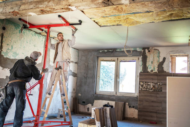 Best Eco-Friendly Insulation in Novi, MI