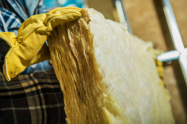 Best Cellulose Insulation in Novi, MI